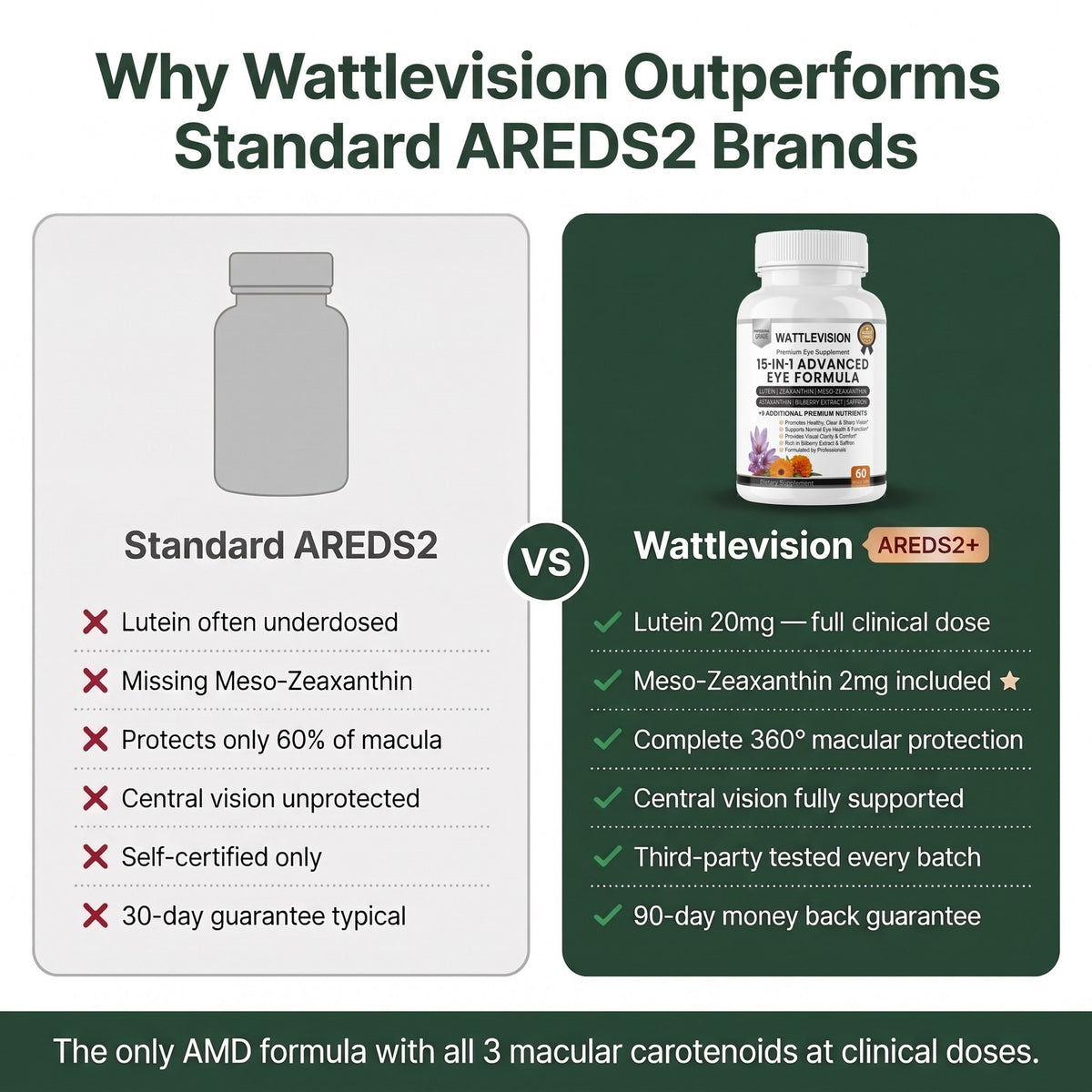 Wattle Vision 6 Month Supply